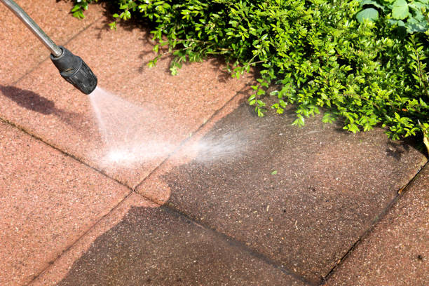 Best House Pressure Washing  in Iva, SC